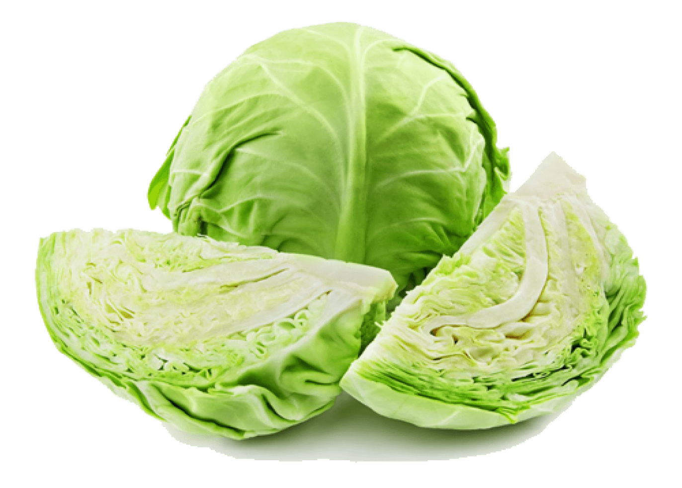 cabbage