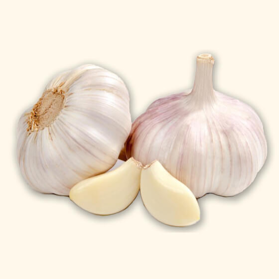 garlic